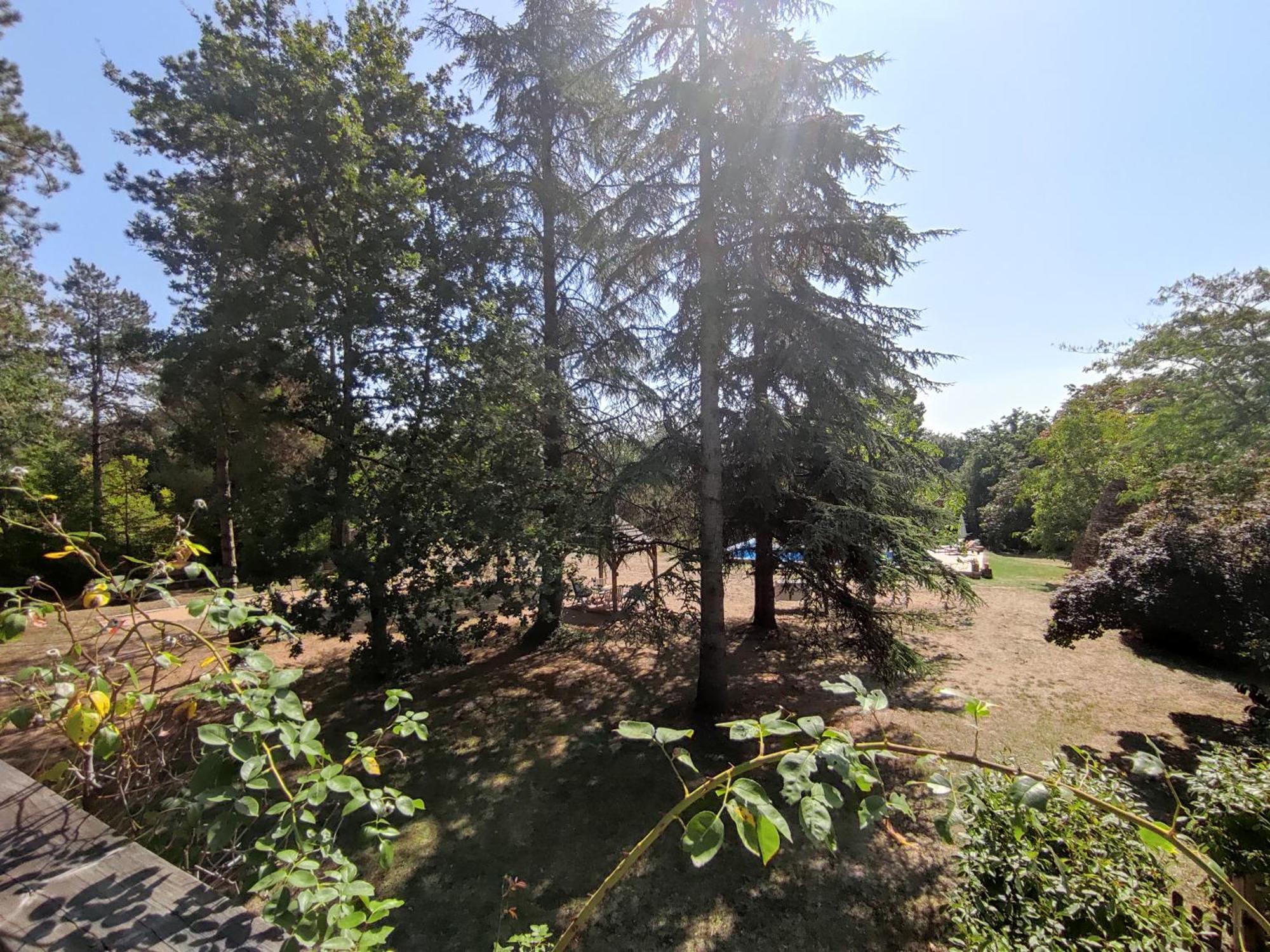 La Borie Du Cambord - Gites Et Chambres D'Hotes Sarlat-la-Canéda Eksteriør bilde